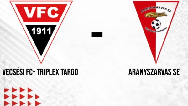 Pest Vármegyei I. Osztályú Felnőttbajnokság