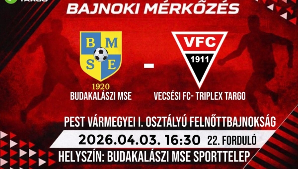 Pest Vármegyei I. Osztályú Felnőttbajnokság!